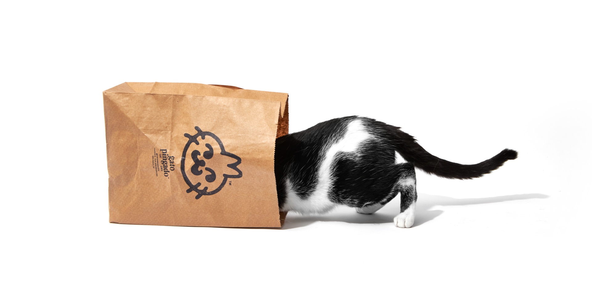 Gato Pingado + Petrikór