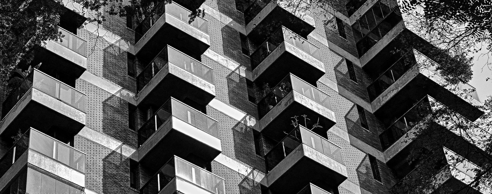 Will de Almeida + Petrikór