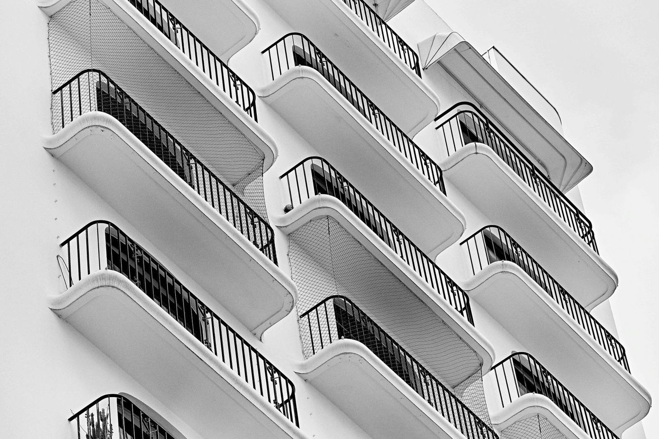 Will de Almeida + Petrikór