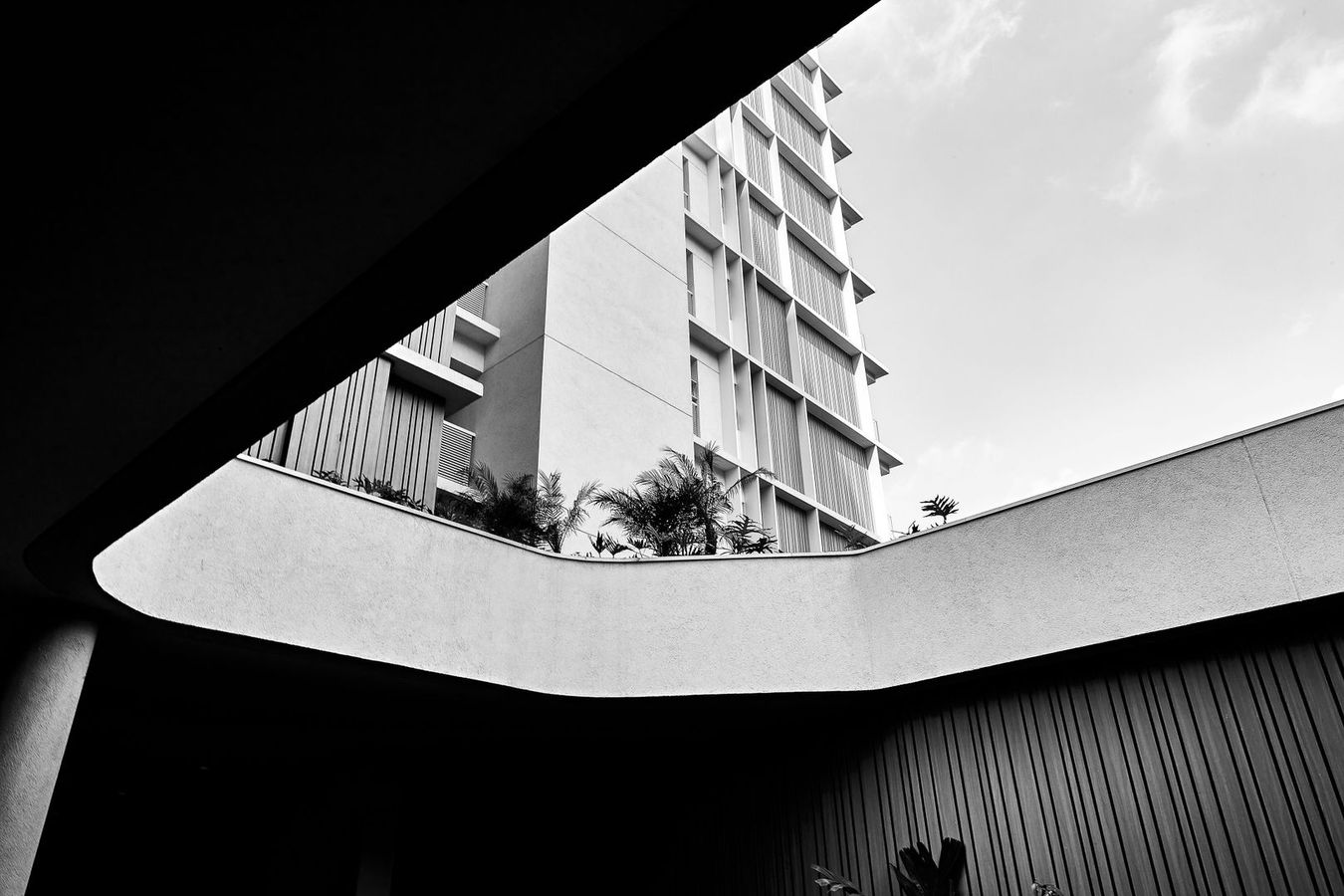 Will de Almeida + Petrikór