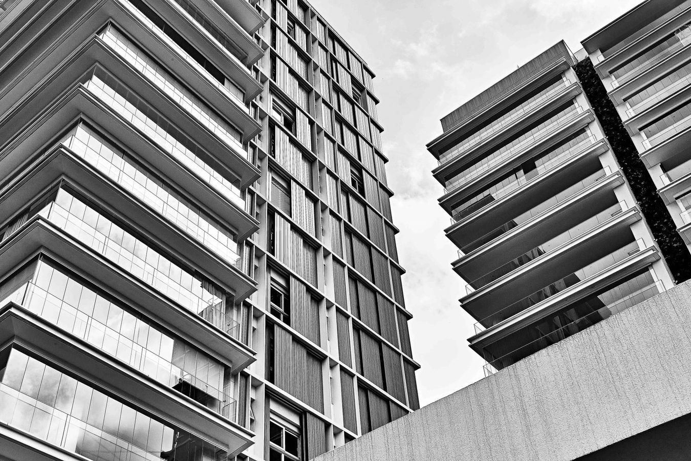 Will de Almeida + Petrikór