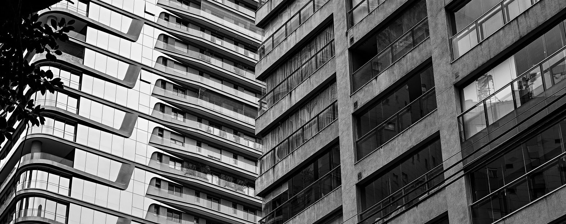 Will de Almeida + Petrikór