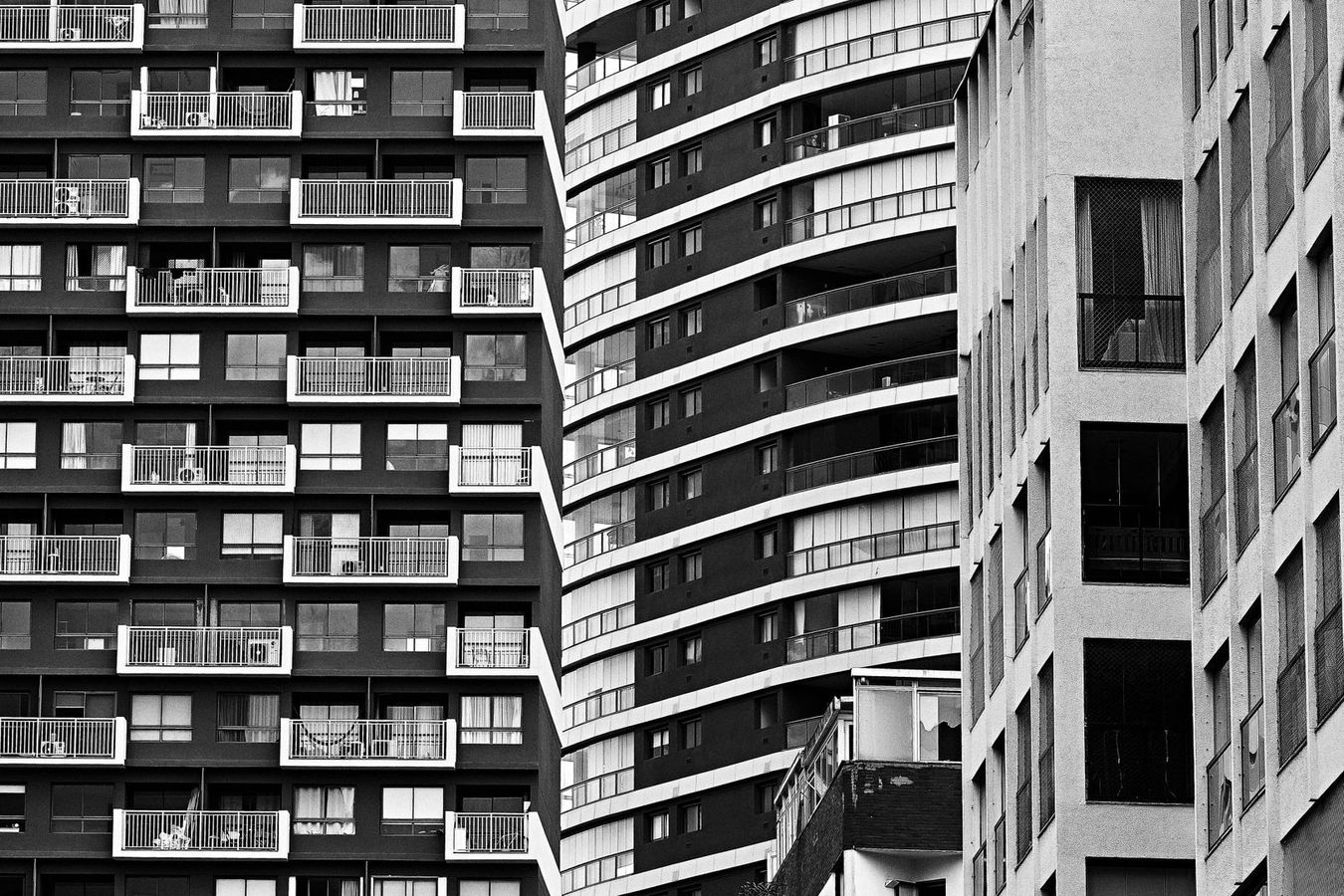 Will de Almeida + Petrikór