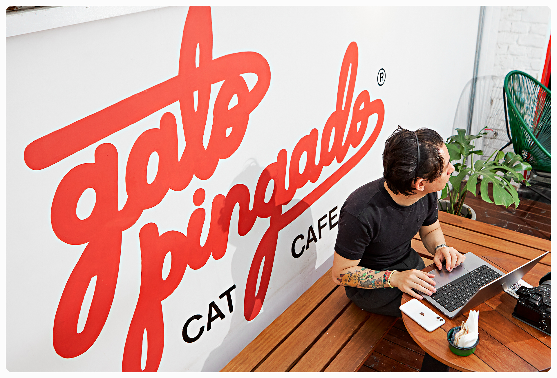 Gato Pingado + Petrikór