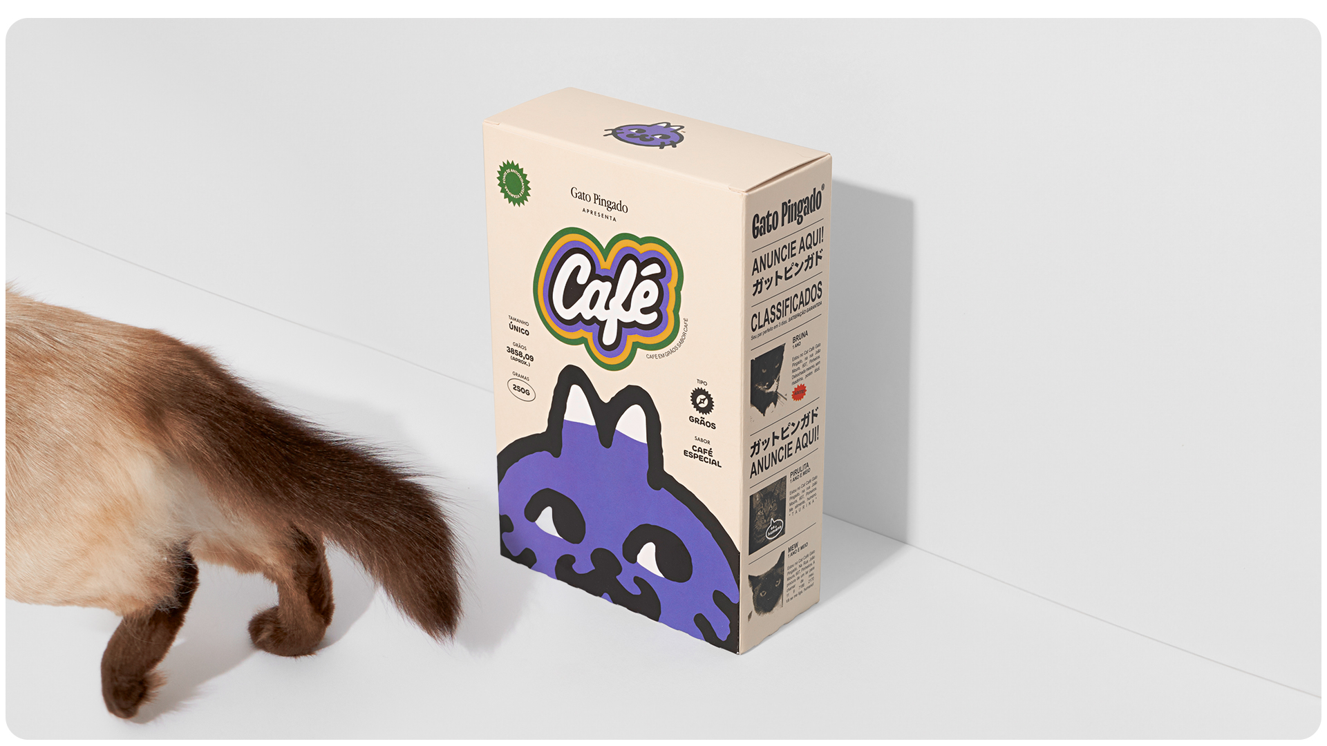 Gato Pingado + Petrikór