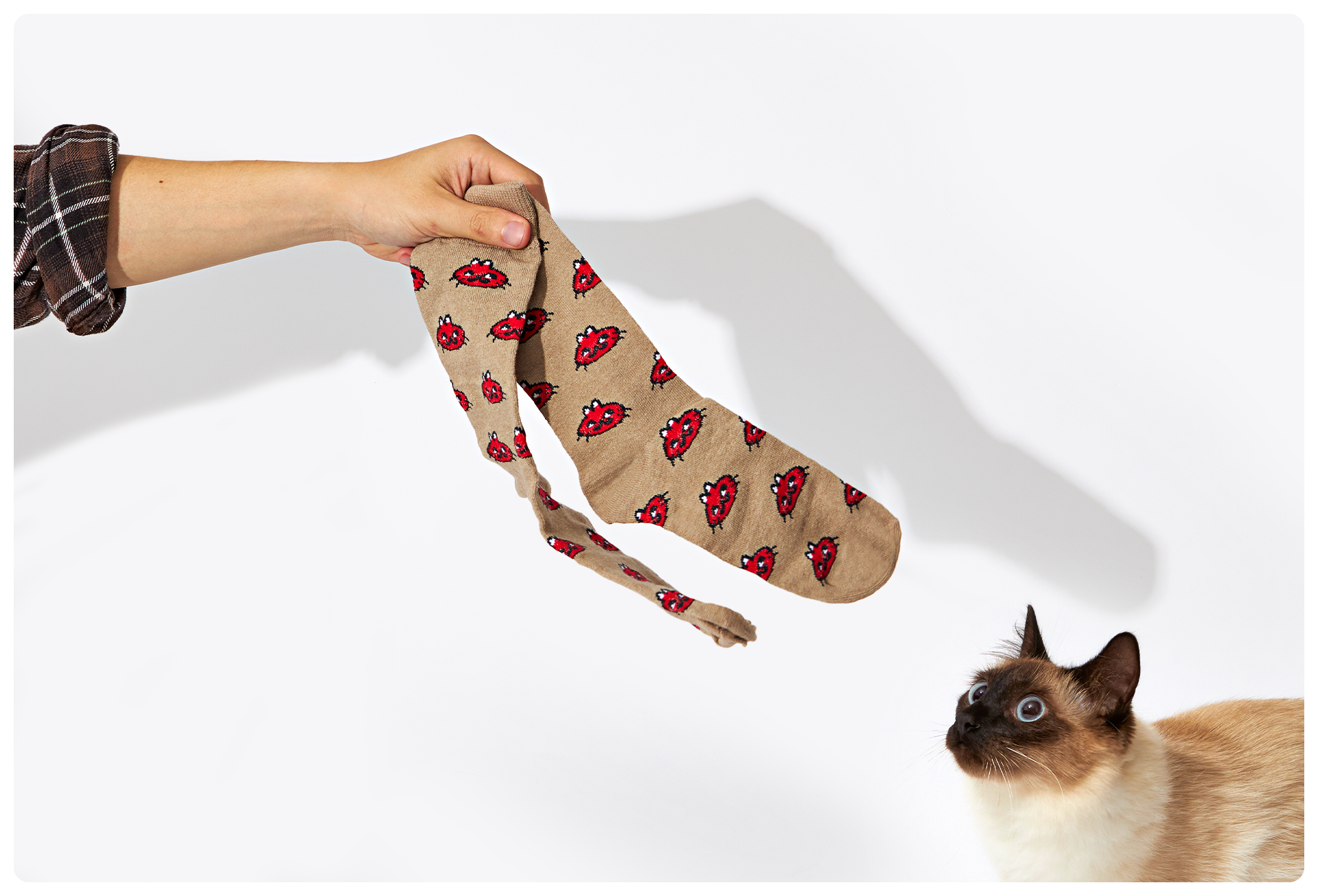 Gato Pingado + Petrikór