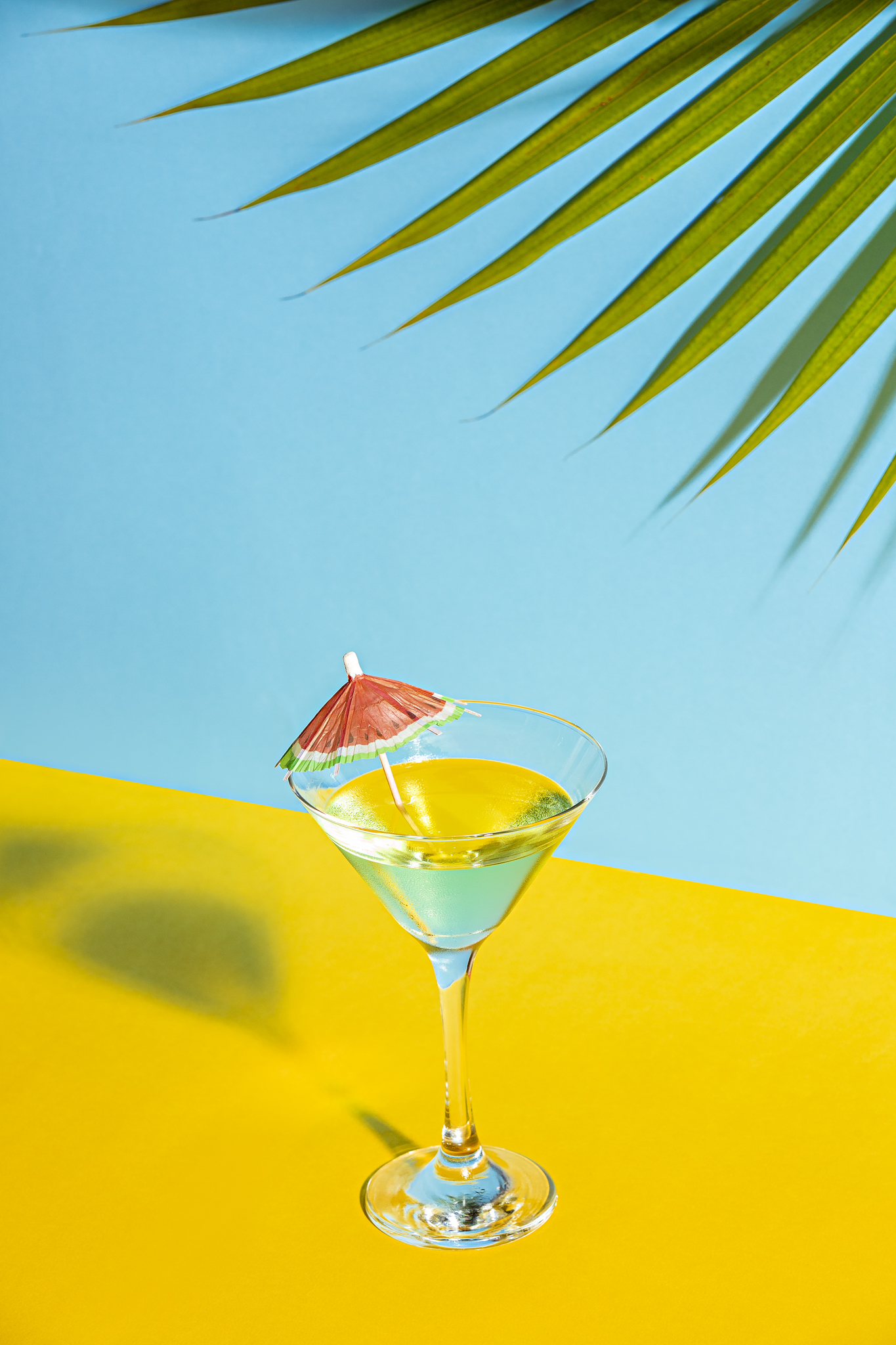 Oloo Bar + Lasca Studio