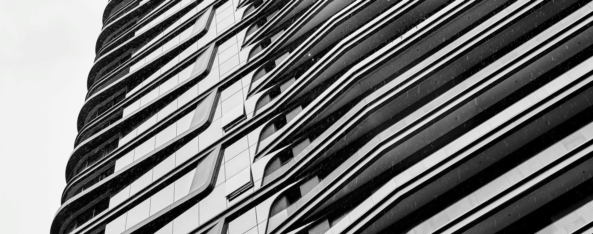 Will de Almeida + Petrikór