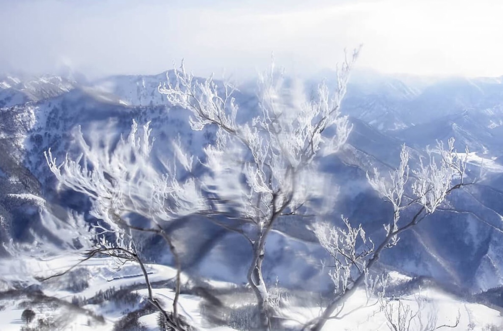 Yuzawa Niigata — 2005 / Jota Oshiro®