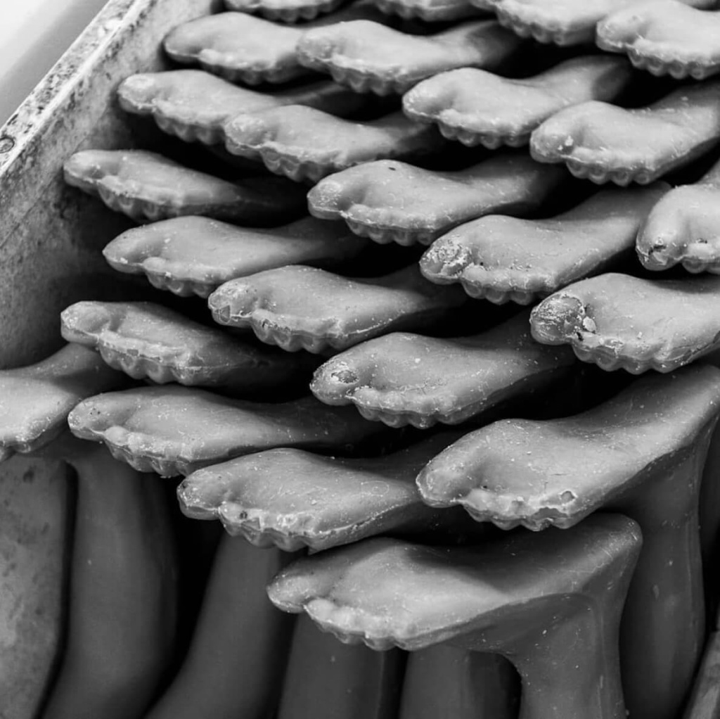 Santuário de Aparecida — 2018 / Jota Oshiro®